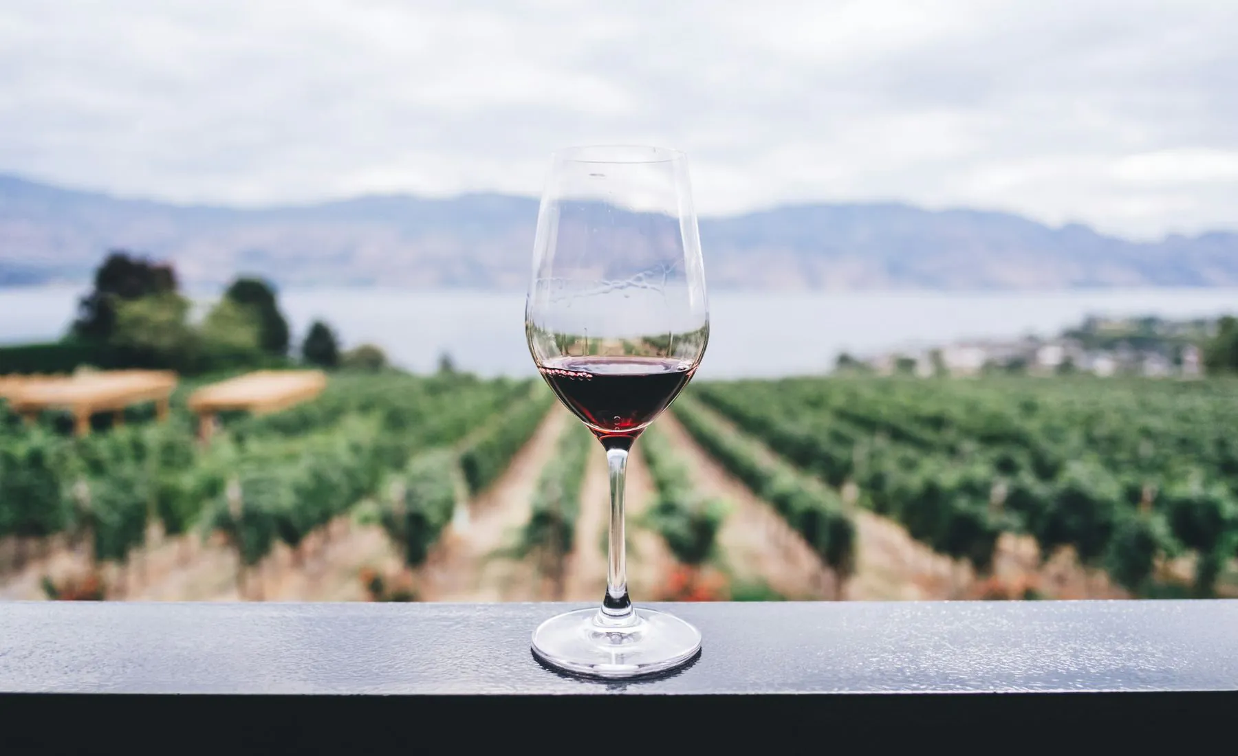 Taça de vinho tinto sobre um parapeito, diante das fileiras de um vinhedo, com um lago e montanhas ao fundo